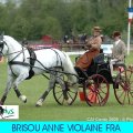 Golden Wheel CUP Winner Brisou Anne Violaine FRA